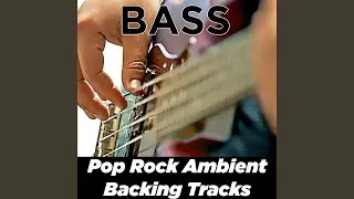 Rock the Jam like a Pro | Bass Backing Track D minor | Main notes: Verse D bridge Bb F C x2...