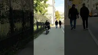 Курьер наехал? Истошный крик 