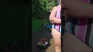 Backyard Poolside flower Garden 