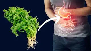 Coriander—what are its health benefits?