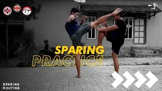 Sparing Rutin Kyokushin #4