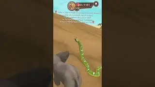 #wildcraft #ваилдкрафт #ваилд #животные #симулятор