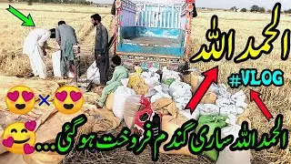 الحمداللہ ساری گندم فروخت ہو گئی...🥰 | اب ساری پریشانی ختم...🤗 | پنجابی زبان میں...☝️
