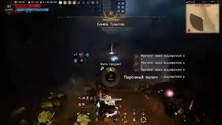 Black Desert Ps4