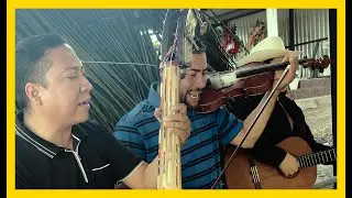 Vengo llegando del rancho - Los Potrillos de TURICATO