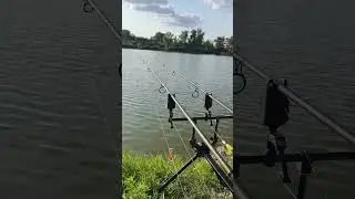 🌽Corn  Ice Cream Fishing #carp #carpfishing #fish #hobby #boilies #cpk #fox #carphunter36