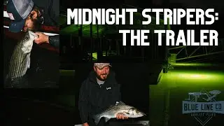 Winter Stripers Trailer | Fly Fishing for Striped Bass | Full Film Premiers May 2
