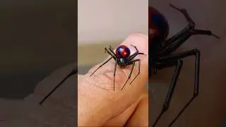 Radioactive Spider 🕷☢️ Spider-Man 