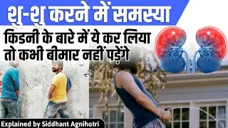 How to save your Kidney || All about Kidney