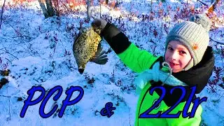 22lr / PCP / ОХОТА на РЯБЧИКА С ВНУКОМ