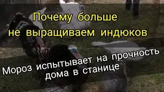 Почему мы не держим индюков. Морозы и снег как проверка на прочность домов в Краснодарском крае