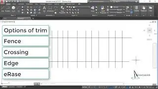 TRIM (PART 2)