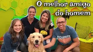 O melhor amigo do homem - Parte 1