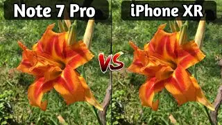 Redmi Note 7 Pro VS iPhone XR Camera Test Comparison