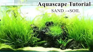 Iwagumi aquascape changed SAND→SOIL | 60cm planted tank makeover