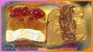 The Most Scientific Sandwich  | Oddities & Curiosities