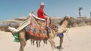 ВАМ СЛАБО! Бутылка за 5 секунд. Приколы с животными.Верблюд.