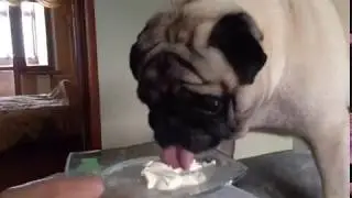 Сметанка