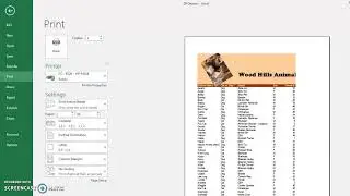 Duplicate Data, Print Titles,