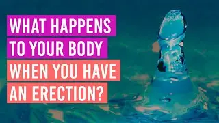 What happens to your body when you have an erection? | Losing the erection