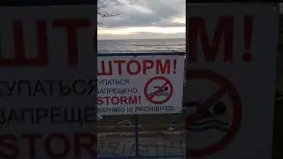 13 января 2024 г.
