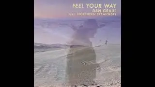 Dan Graul - Feel Your Way (feat. Northern Strangers) Album Art Visualizer
