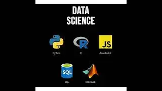 Top Coding Language in Each Field