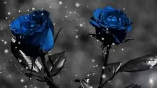 "Together again",Evanescence