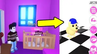 My First Egg & Pet in Adopt Me - Roblox