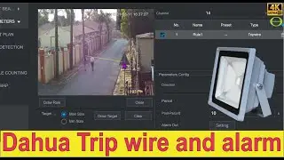 How to set a trip wire on a Dahua NVR with alarm output