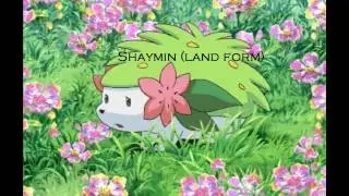Legendary Pokemon||
