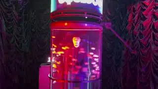 Cyclone360. Interactive Digital Game. Game Rules.