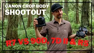 Canon R7: ISO Shootout: Testing the R7 vs. R5, 90D and 7D mark II