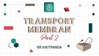Transport Membran: Transport Aktif | Ilmu Biomedik Dasar | Brainy Panda