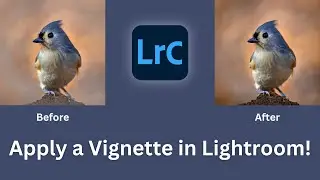 3 Ways to Apply a VIGNETTE in Lightroom Classic l NPF Photography