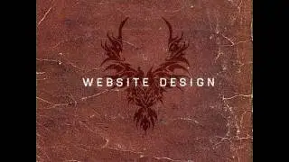 Aesop website design