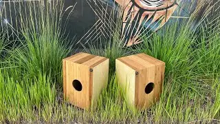 Why You Need a Nautilus Bamboo Cajon