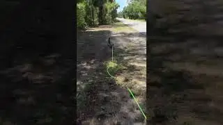 Destroying the Ballista BAT crossbow (part 2)