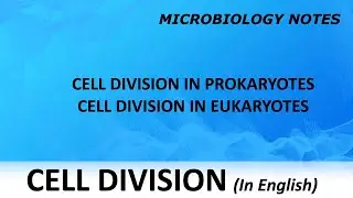 Cell division / Cell division in Prokaryotes and in Eukaryotes / Microbiology notes / ENGLISH