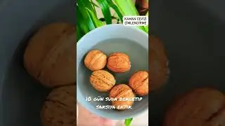 Kaman ceviz çimlendirme