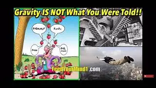 Do YOU Have Blind Faith In The “Gravity” Theory???