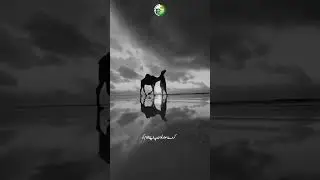 Manzil Talash Kar - Atiq Ur Rehman