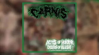 Carnis - Acts Of Horror, Deeds Of Flesh (Full Album) [2025 Goregrind]