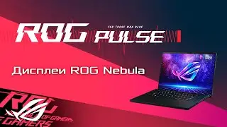 Team Spirit, Alan Wake 2, Ghostrunner 2, Little Nightmares 3, Heartsteel / ROG PULSE [03.11.23]