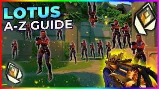 COMPLETE Lotus Entry & Defense Angle Guide [2026]