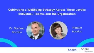 Cultivating a Wellbeing Strategy Across Three Levels: Individual, Teams, and the Organization