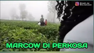 Marcow Di Perkosa Di Hutan|Mael Lee Panik Langsung Kabur