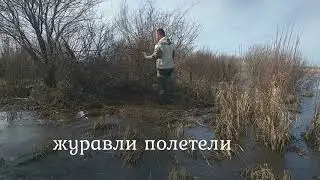 СКРАДОК НА УТКУ, ДЛЯ ВЕСЕННЕЙ ОХОТЫ. УЖЕ ЕСТЬ УТКИ!