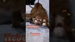 Доброе утро)))