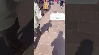 Yh kya hai?